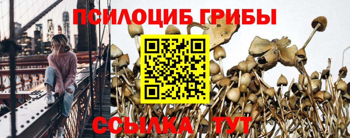 Балаково  Псилоцибиновые грибы Psilocybe  Вход с VPN  Галлюциногенные грибы ЛСД 
